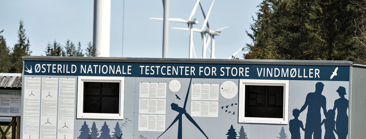 Weder Zugvögel noch Fledermäuse sind von einem Windkraft-Testzentrum in Østerild negativ beeinträchtigt worden. Zu diesem Schluss kommt eine neue Untersuchung – rechtzeitig, bevor die Anlage vergrößert werden soll.