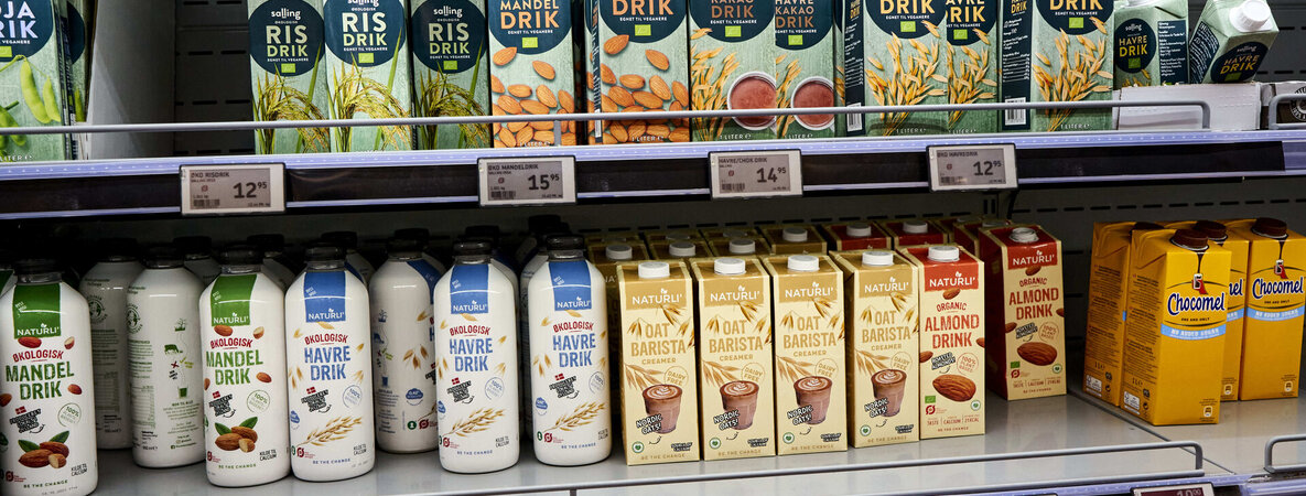 Pflanzliche Alternativen zur Milch stehen in einem Supermarktregal.
