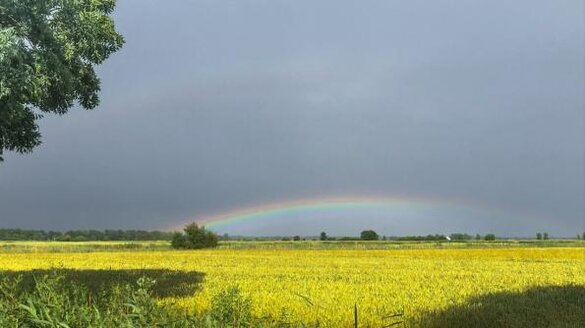 Ein Regenbogen in der Südermarsch