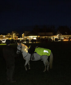 Ein Pferd steht auf dem Marktplatz, der von der Weihnachtsbeleuchtung erhellt wird