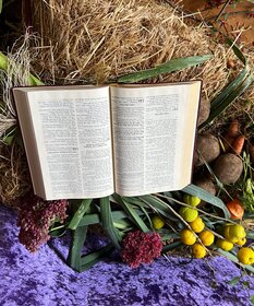 Ein Strohballen ist mit Kartoffeln, Mohrrüben, Porree und einer Bibel dekoriert