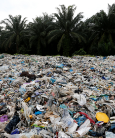Plastikmüll Plastikabfall Recycling Illegale Deponie